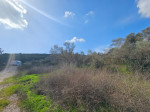 BORNOVA GÖKDERE MH.'DE MUHTEŞEM LOKASYON 9.432 m2 SATILIK