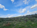 BORNOVA GÖKDERE MH.'DE MUHTEŞEM LOKASYON 9.432 m2 SATILIK